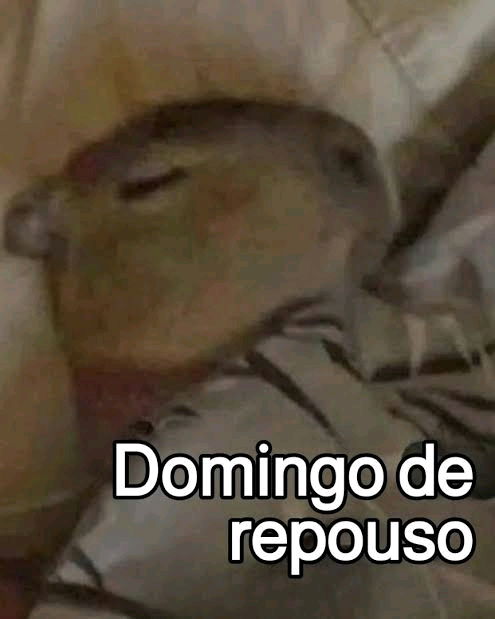 Dia oficial de não fazer nada 😴