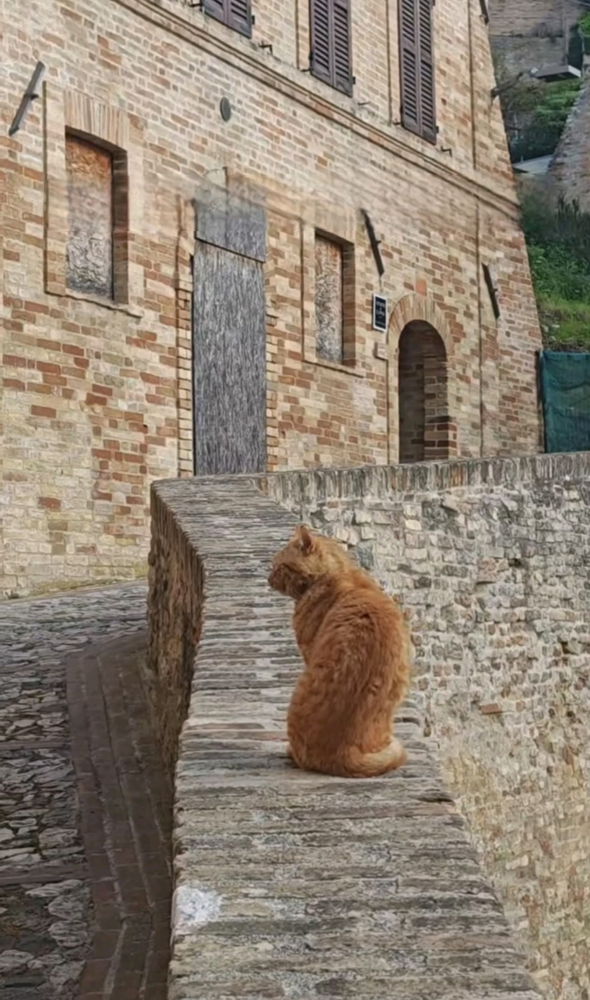 Italy