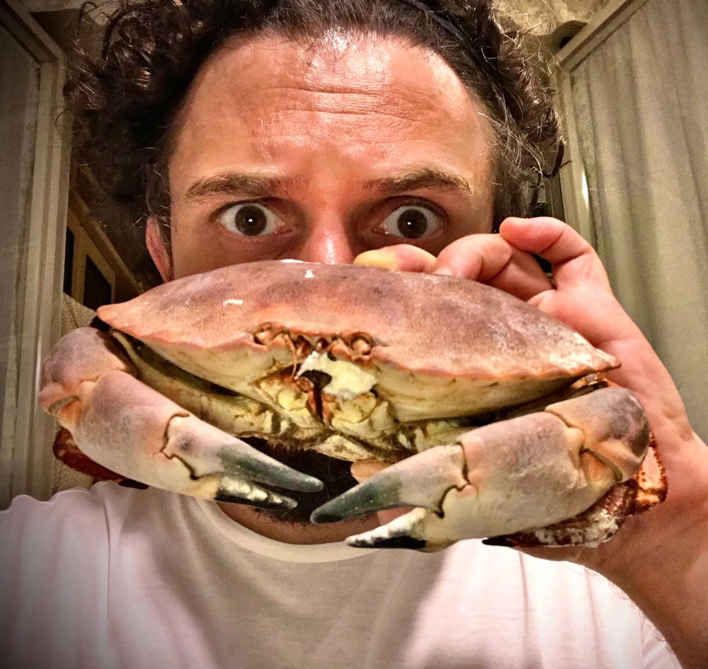In chat si prendono solo granchi. Vero o falso? 🤔