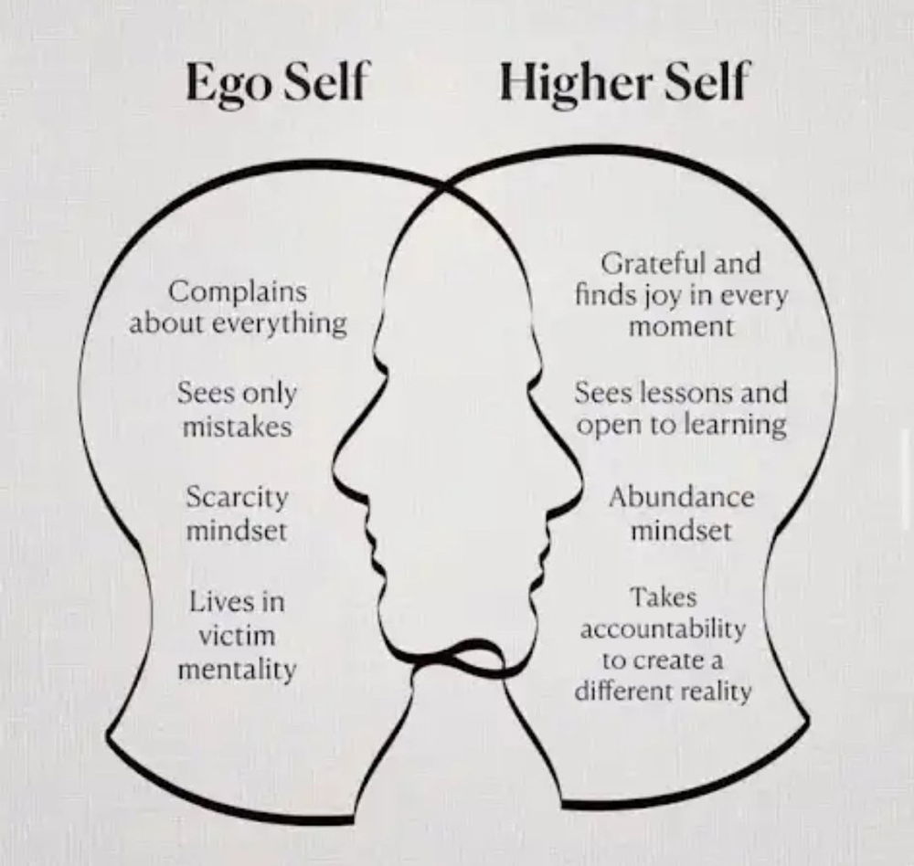 Food for thought 🧠💭