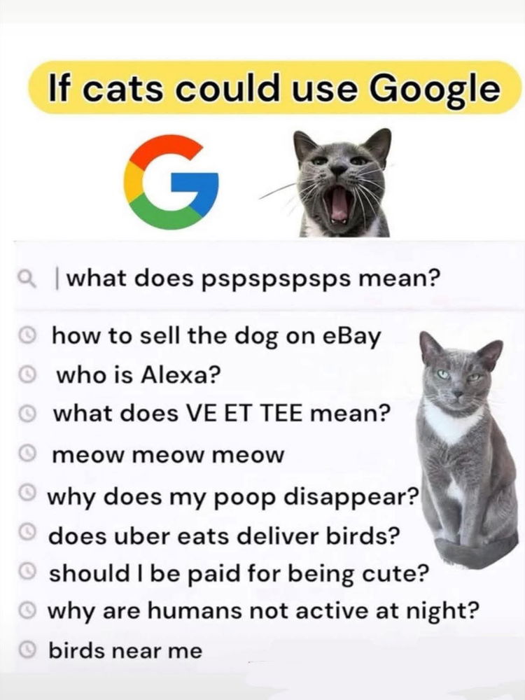 😹