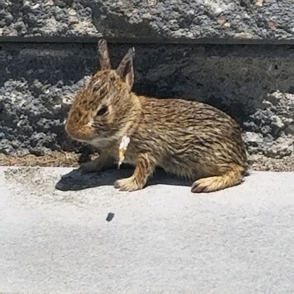 Name him.