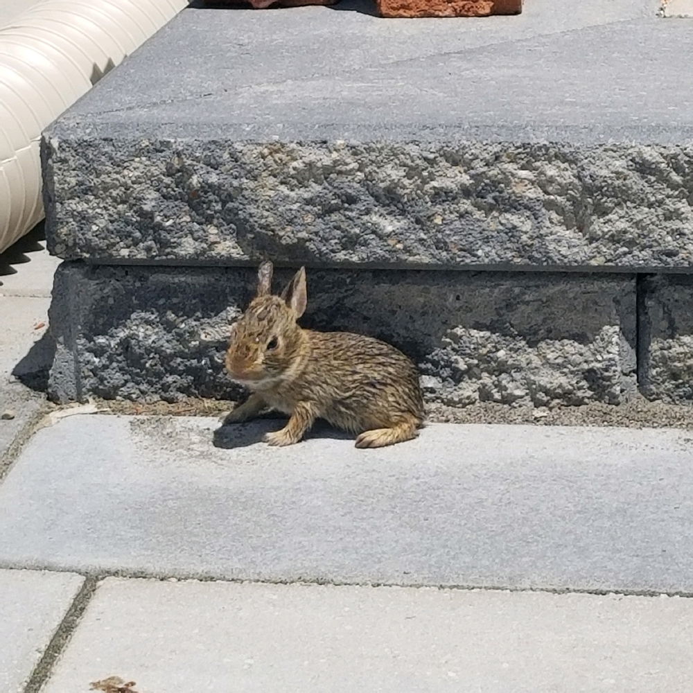 Name him.