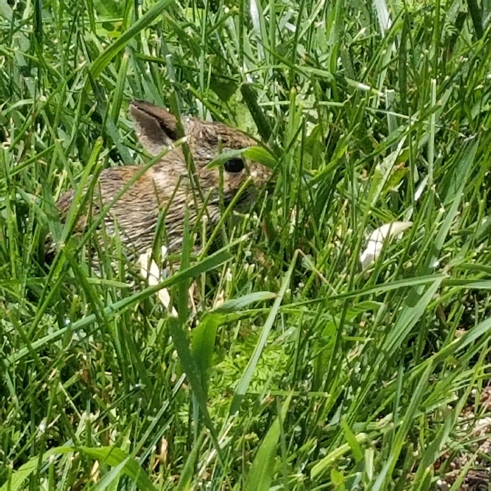 Name him.