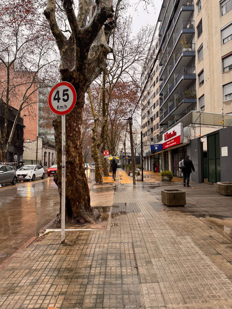 Lloviendo