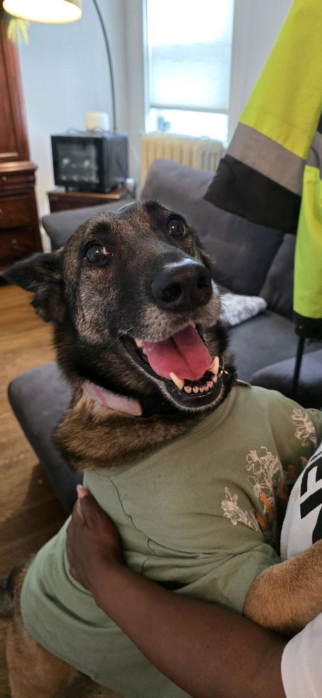 Meet Falca