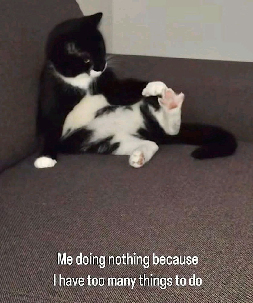 me too😹