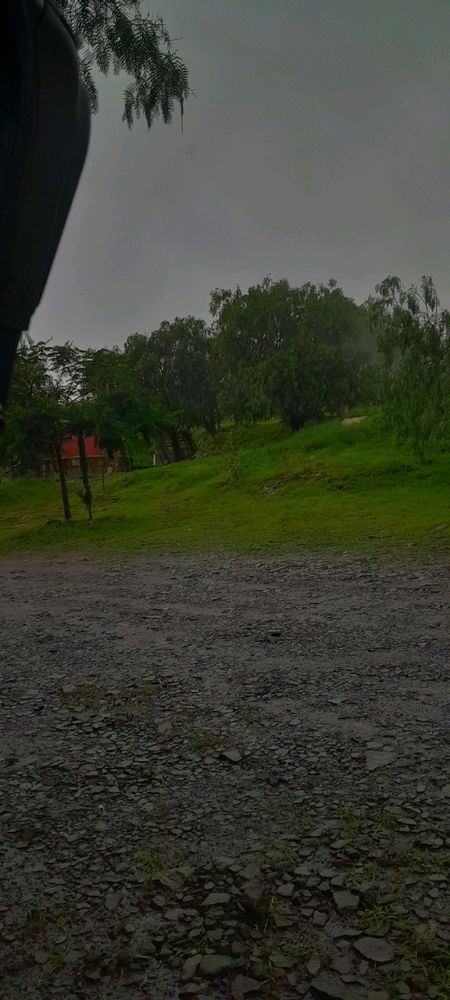 Rain