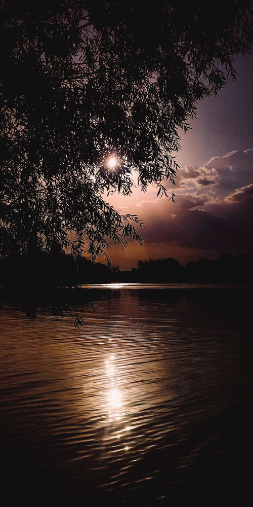 Через стекло очков)