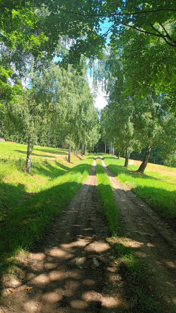 Trocha víkendových procházek 😀