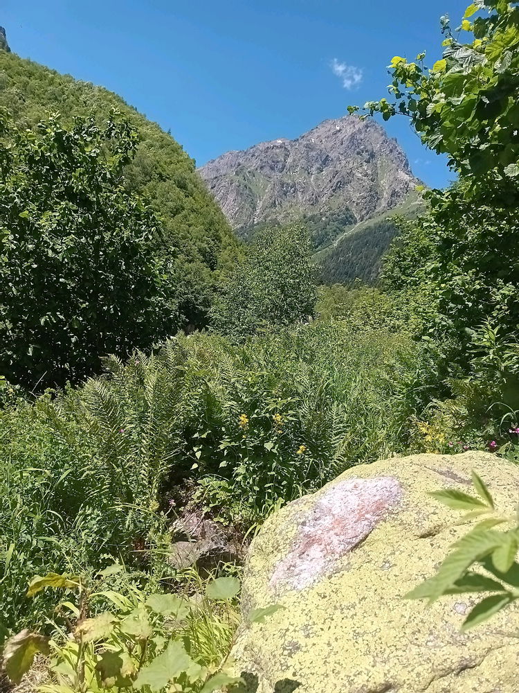 Кавказ