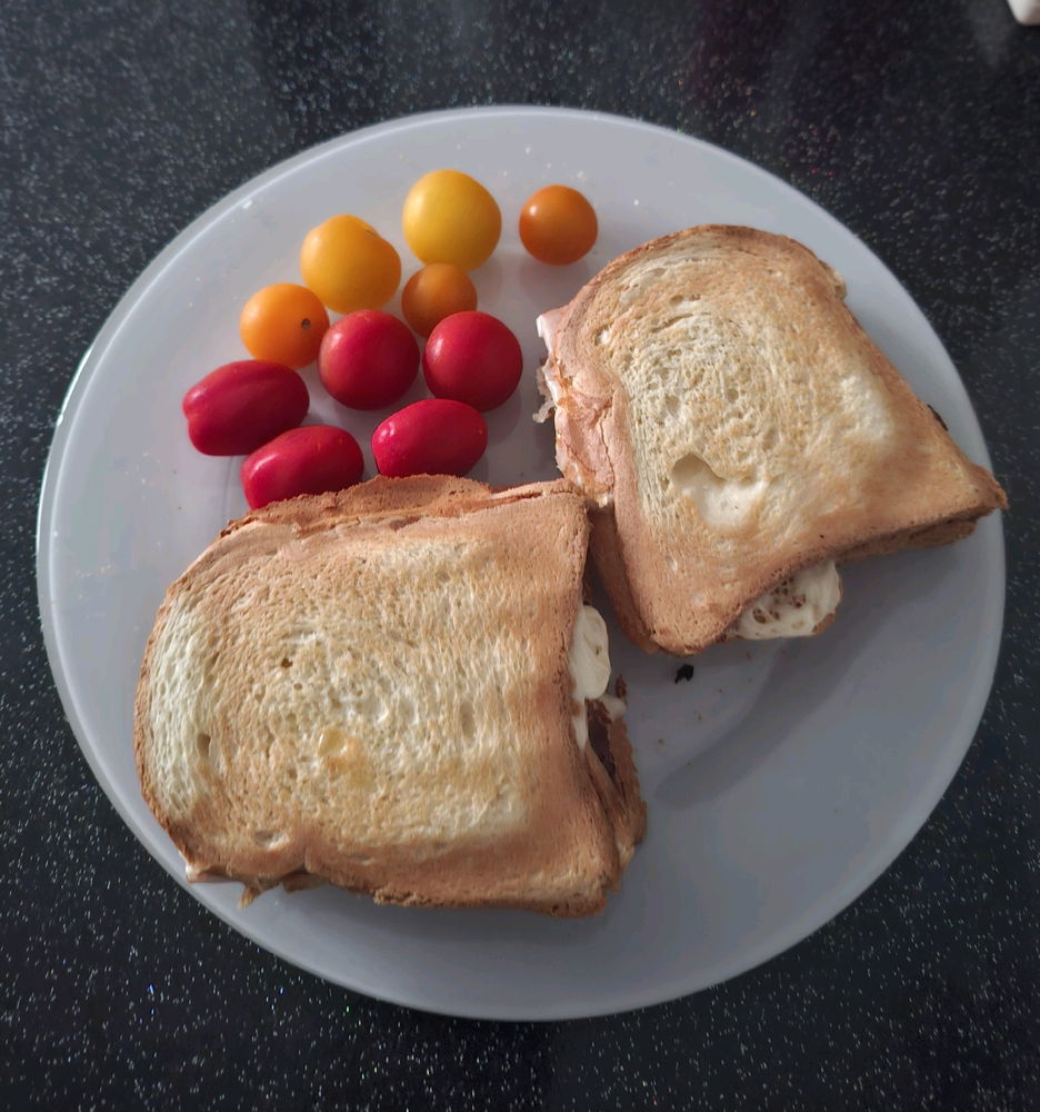 Croques monsieurs pour demain la collègue et moi tcheck