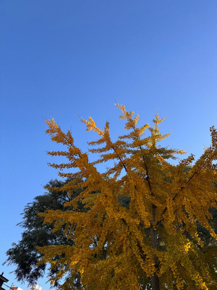 Otoño