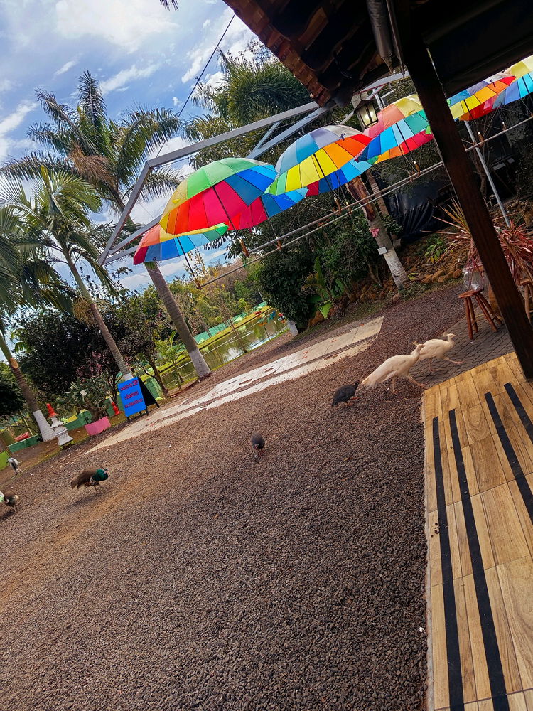 Um dia de domingo
