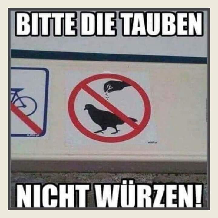 😂