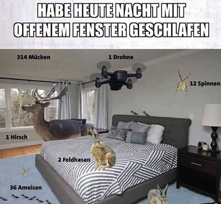😂