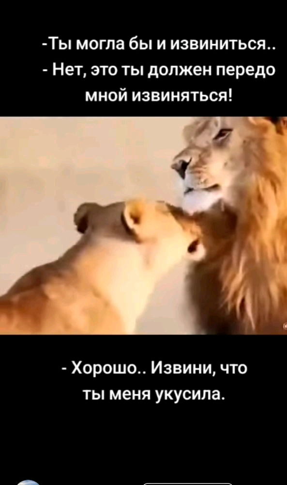 Вот прям риалити 😂