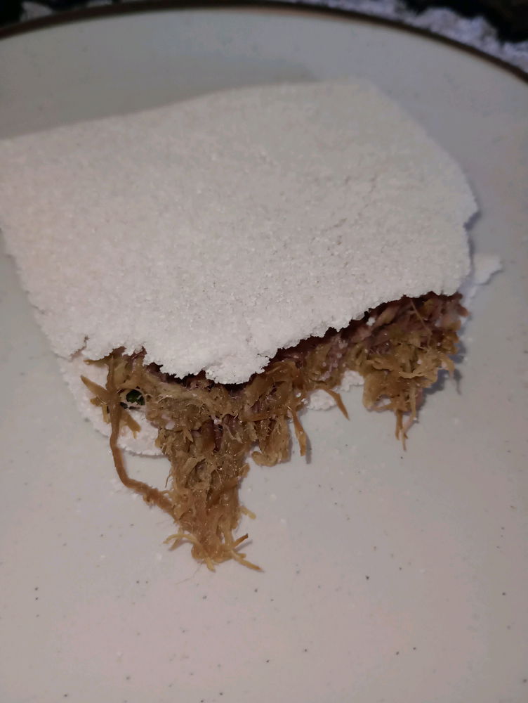 Tapioca feita na sanduicheira.