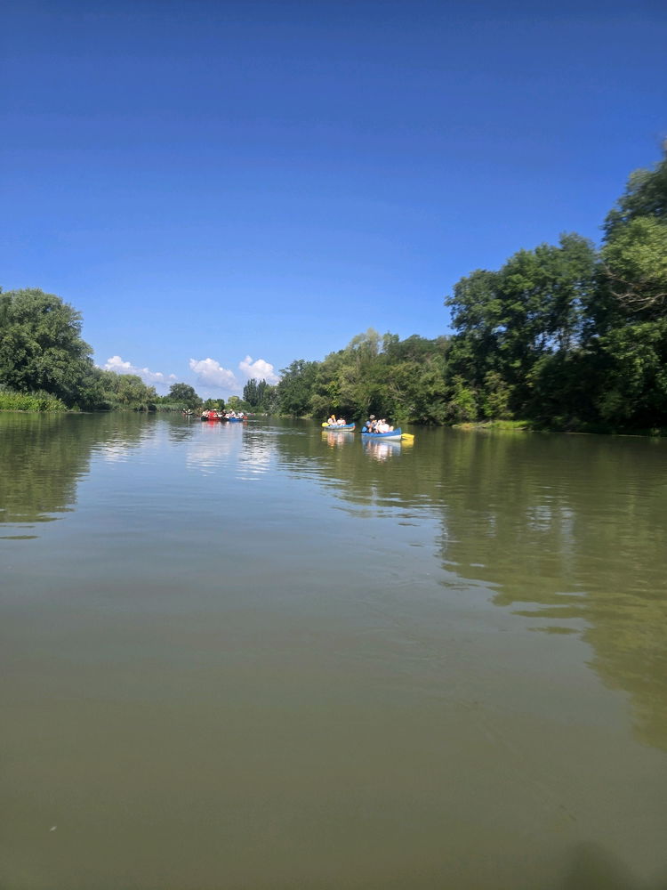 Wildlife, canoeing, paddling and camping