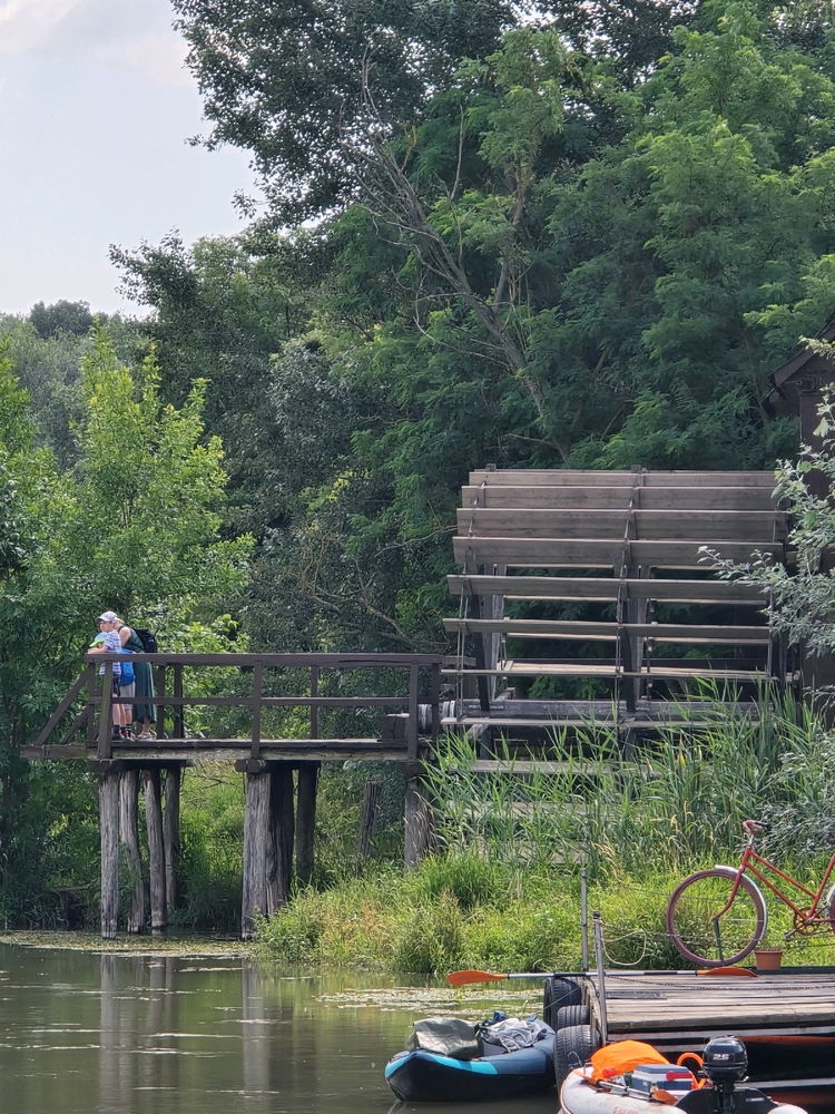 Wildlife, canoeing, paddling and camping