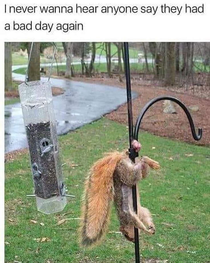 Ouch 🤕