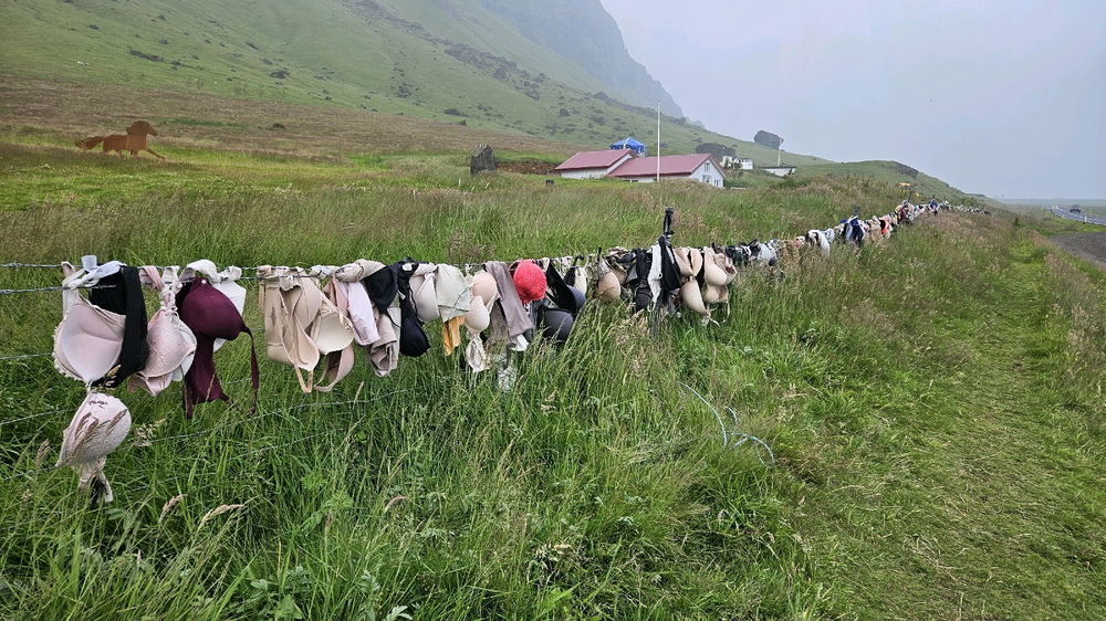 Bra Fence