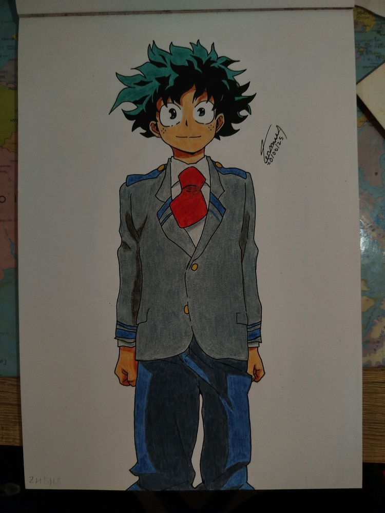 Un Deku sauvage terminé 🫡