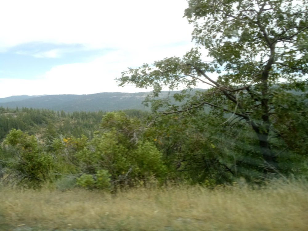 Sierra’s somewhere near Strawberry 🍓