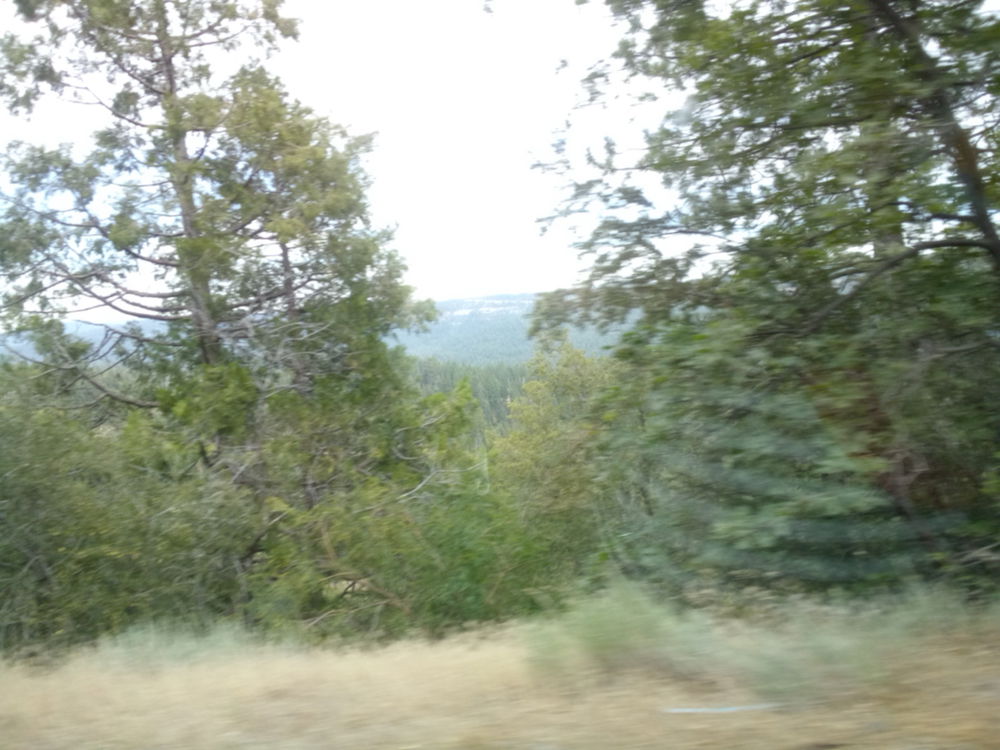 Sierra’s somewhere near Strawberry 🍓
