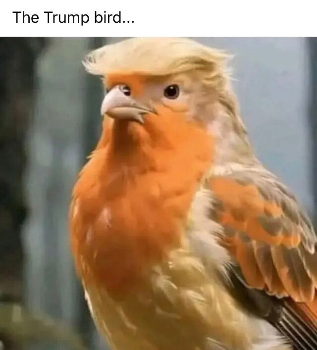 😁
