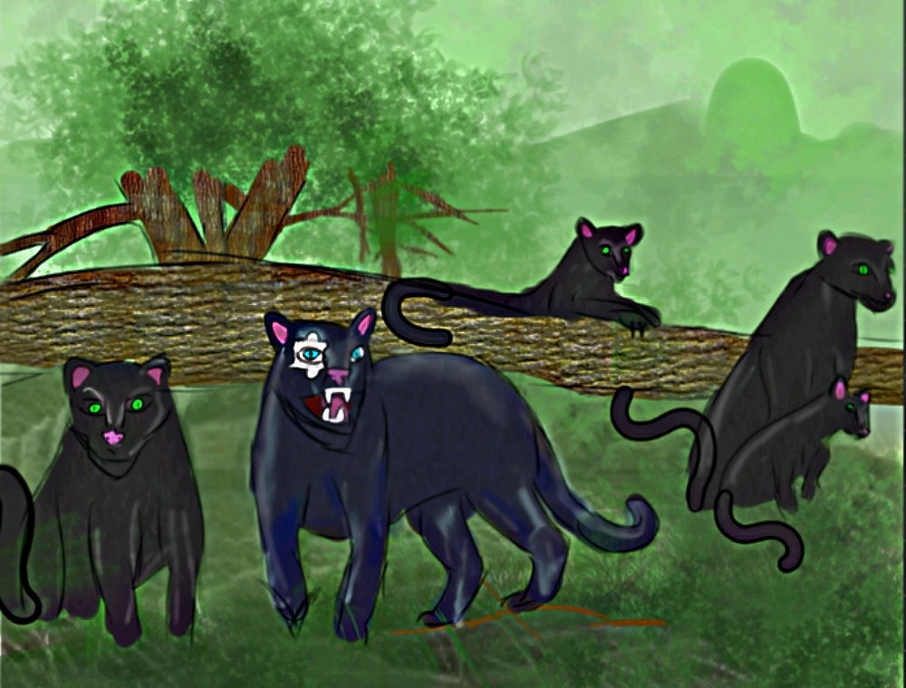 Panthers