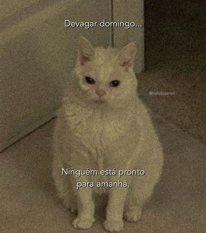 🤦🏻‍♀️