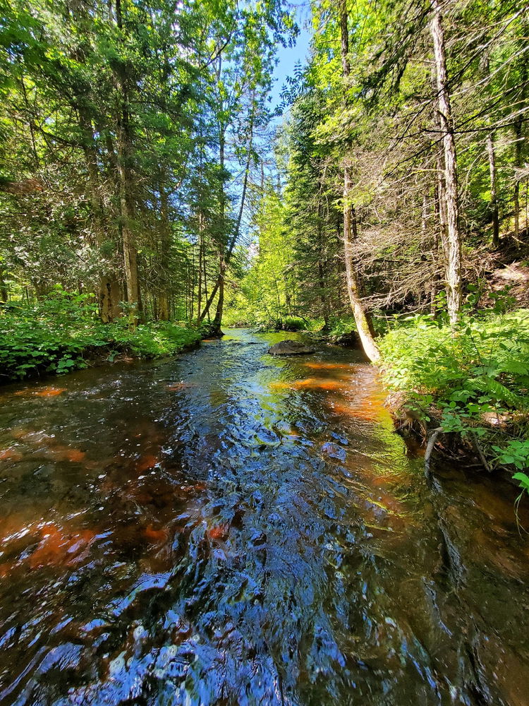 The babbling river