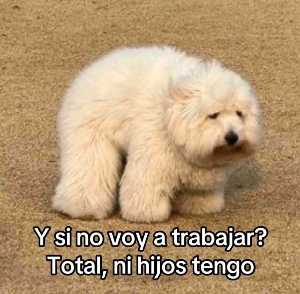 Mañana estaré tal que así...