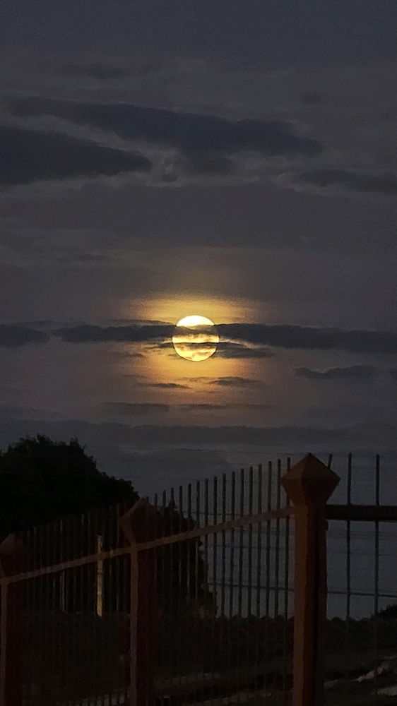 LUA