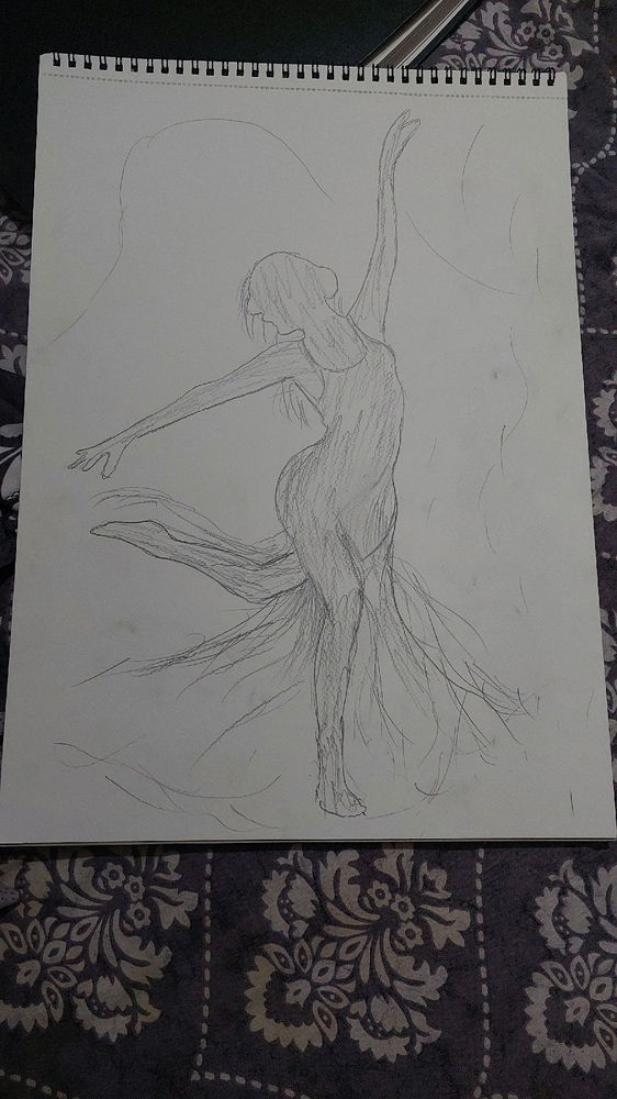 insomnia + boredom leads to creation
.
.
still unfinished