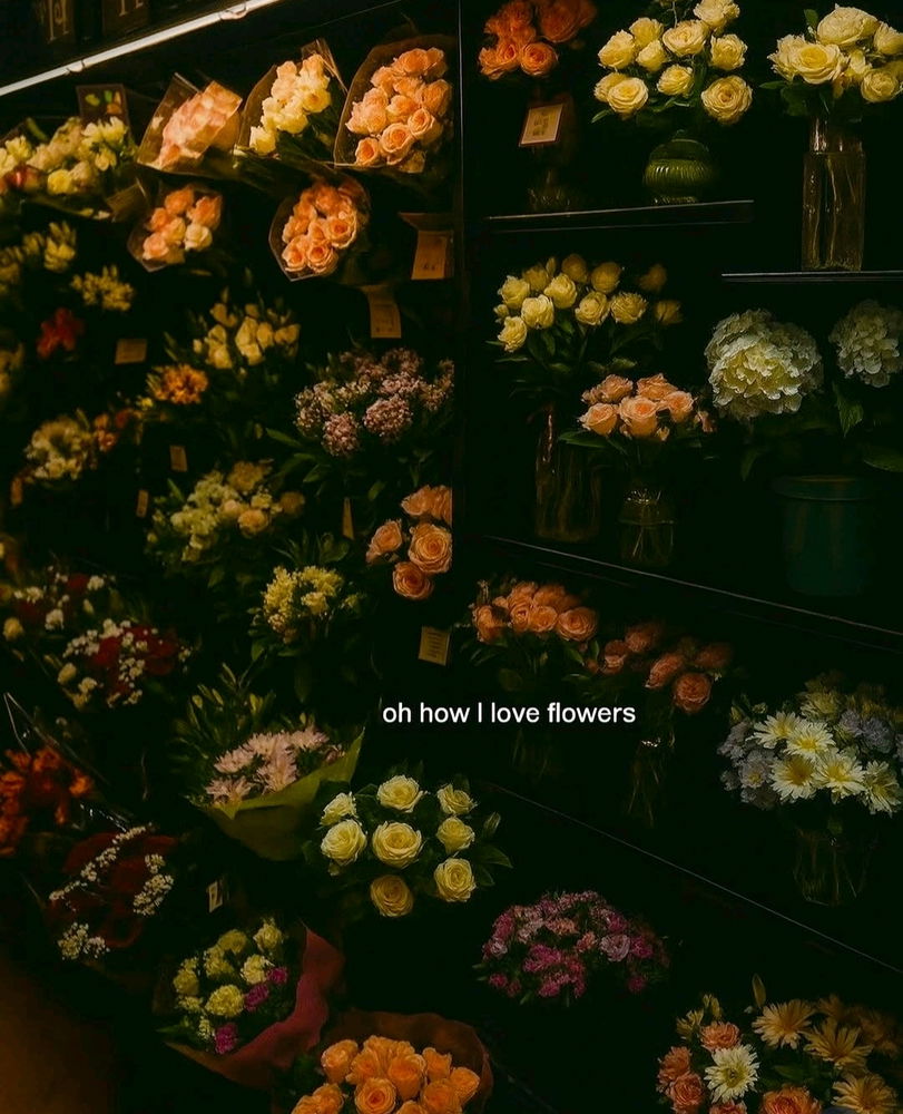 🌼🌼💛💛🌻🌻