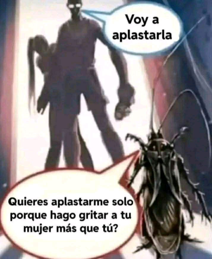 Owned 🤣