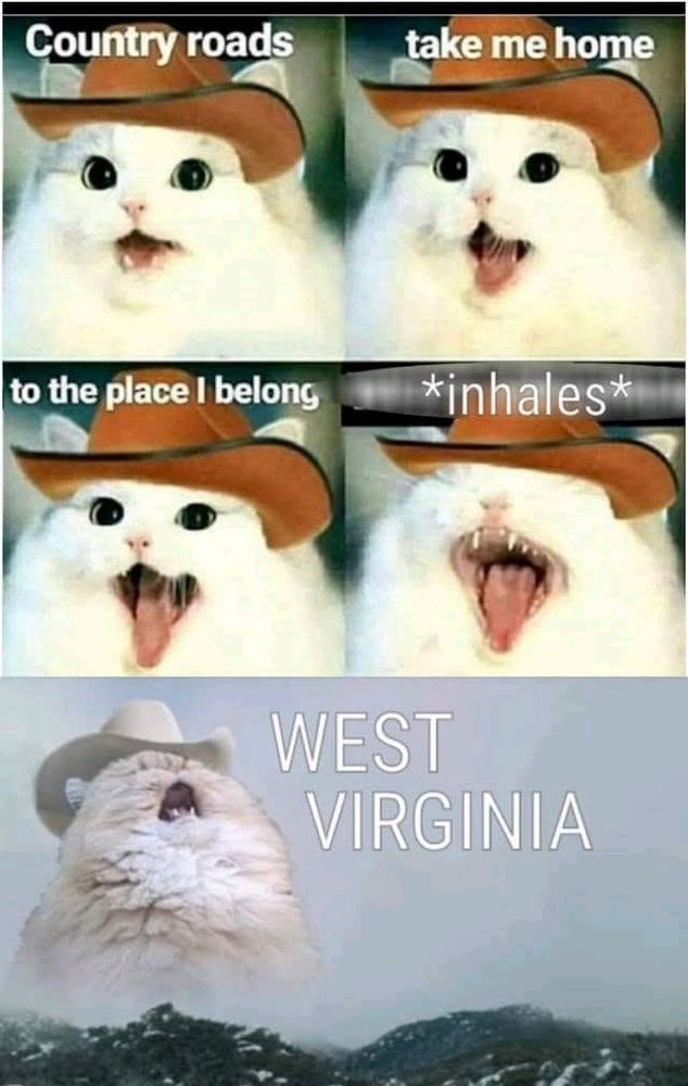 XD