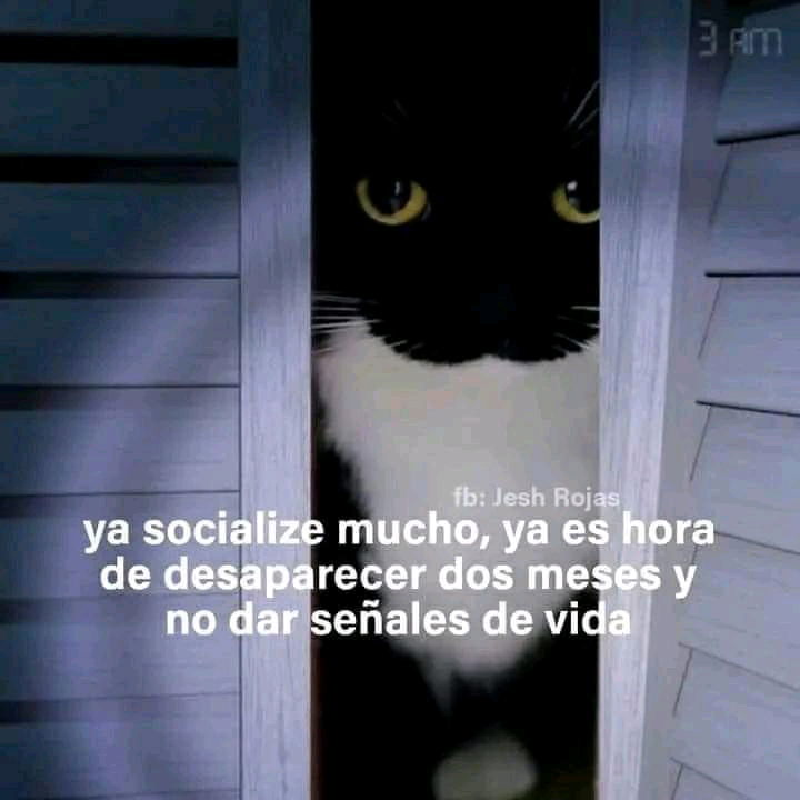 Alguna chica para hablar?