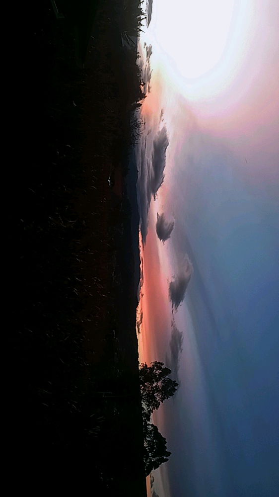 🌅