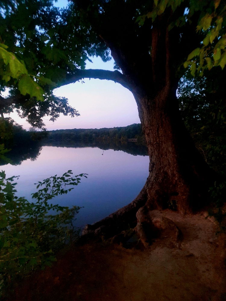 calm