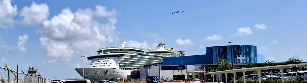 Cruising. Is it worth it?