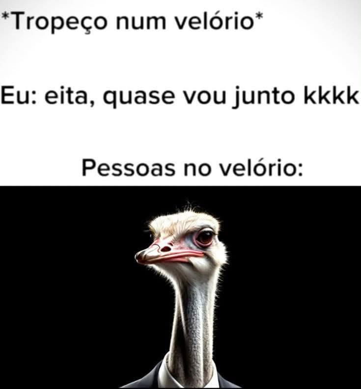 Foi assim que quase caí dentro de uma cova uma vez ,depois disse não vou mais em enterro não 😖