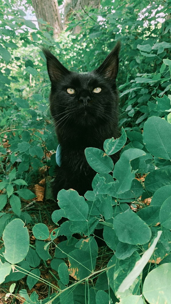 Adventure time