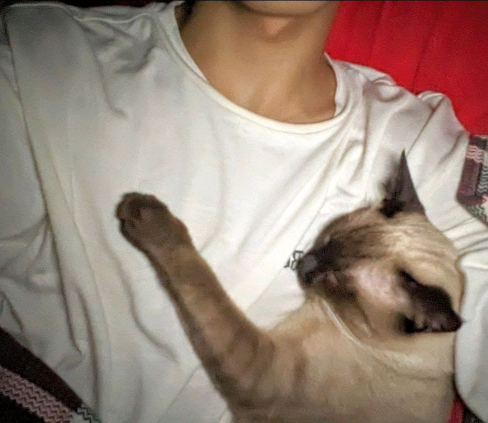 Existe companhia melhor?😺
