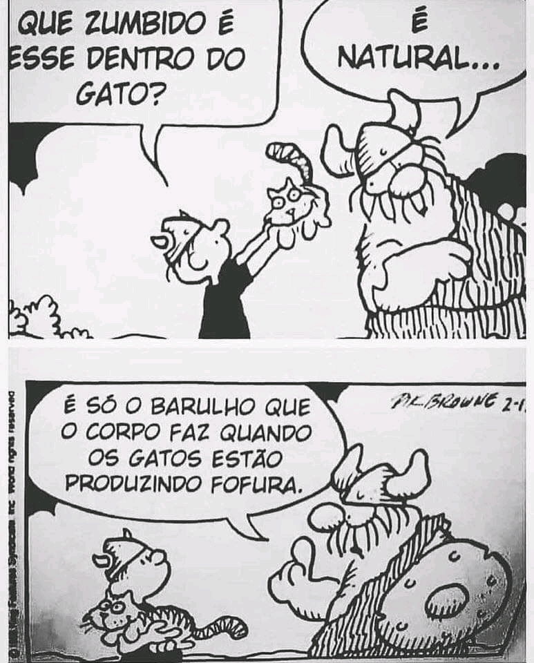 Gatineos