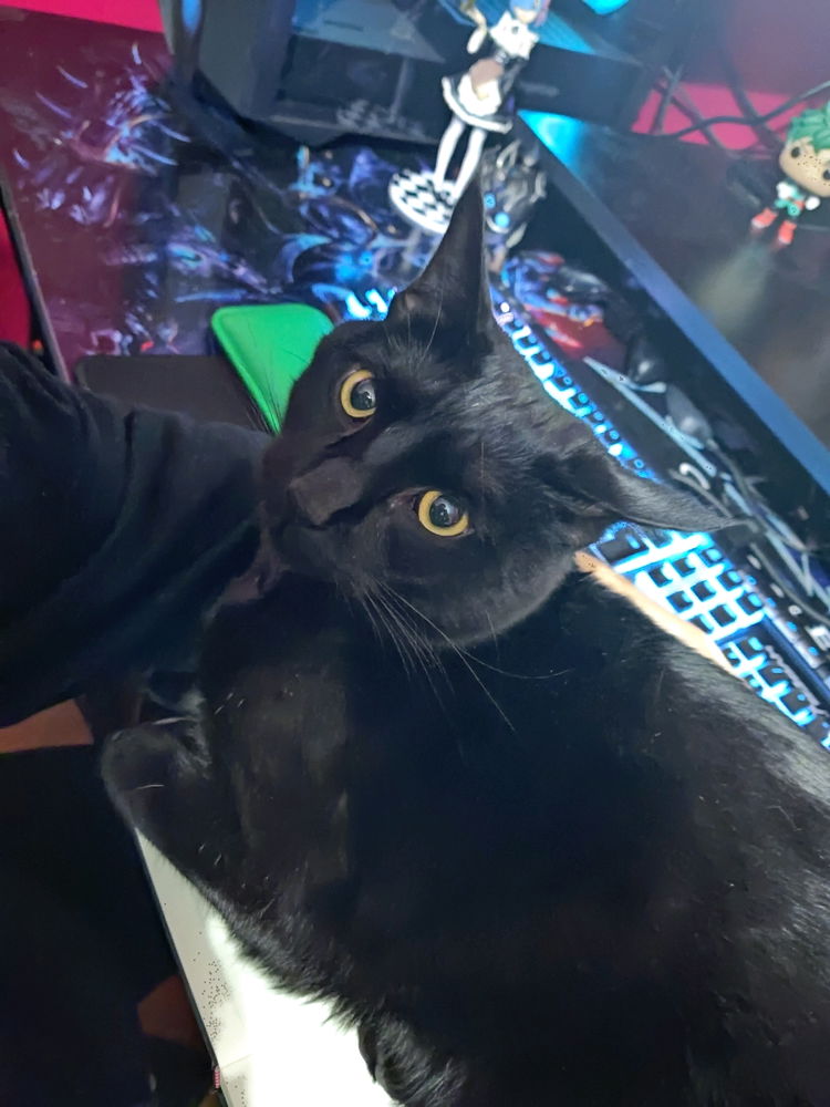 EL bb