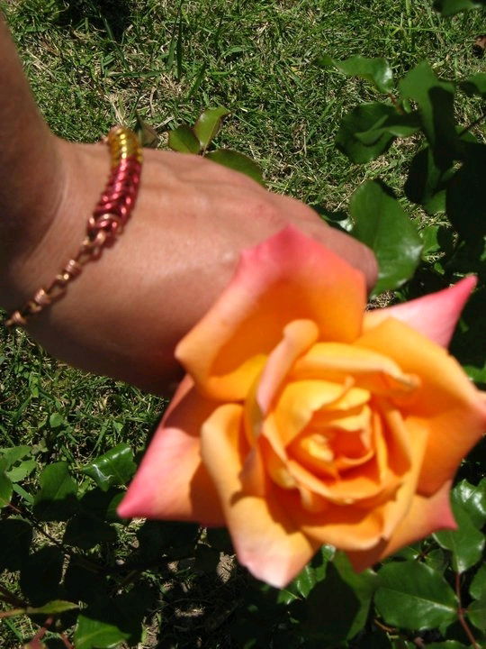 Beautiful flower in Argentina, wish I could plant these in my backyard!