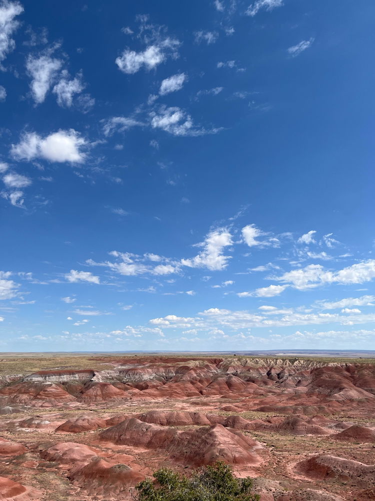 Insane views at the painted desert